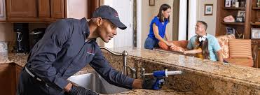 Best Emergency Pest Control  in Collierville, CA