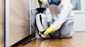 Best Fumigation Services  in Collierville, CA